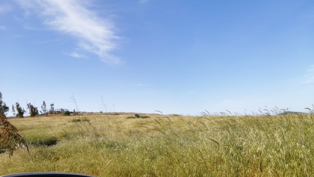 Le Sud du Liban ou la Topographie du&nbsp;Néant